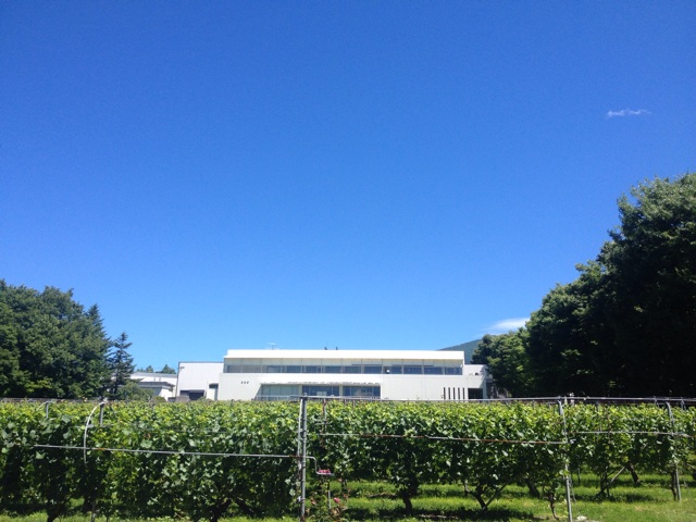 f:id:monsieur0204:20150801014445j:plain f:id:monsieur0204:20150801014445j:plain