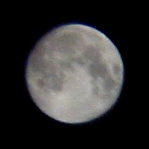 f:id:mooncats:20100829015333j:image f:id:mooncats:20100829015333j:image