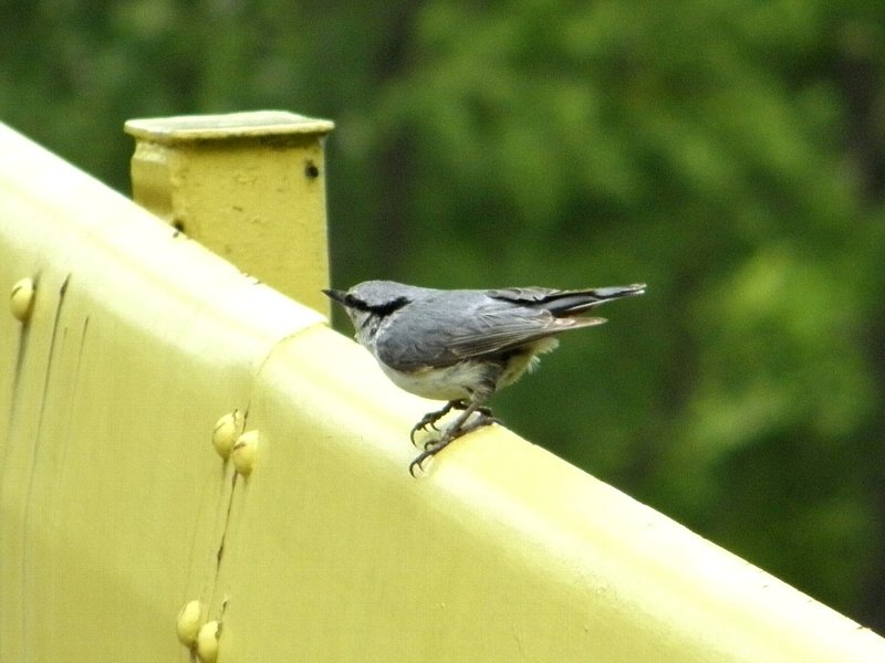 f:id:mooncats:20110612144757j:image f:id:mooncats:20110612144757j:image
