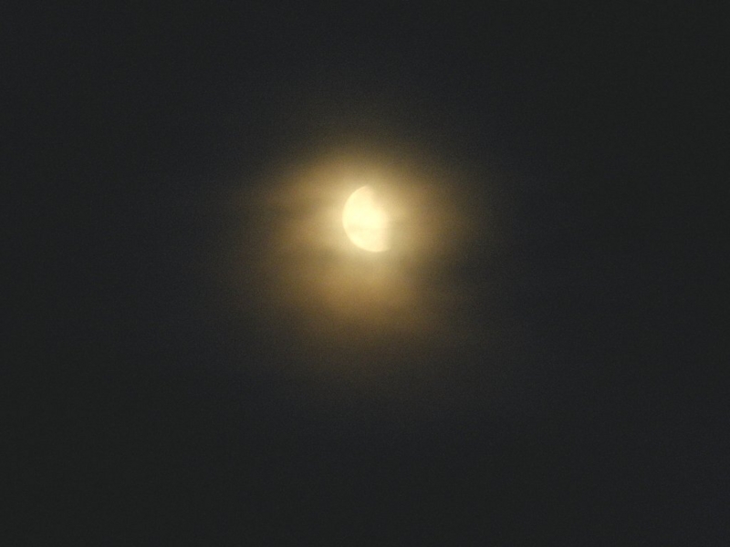 f:id:mooncats:20110621235846j:image f:id:mooncats:20110621235846j:image