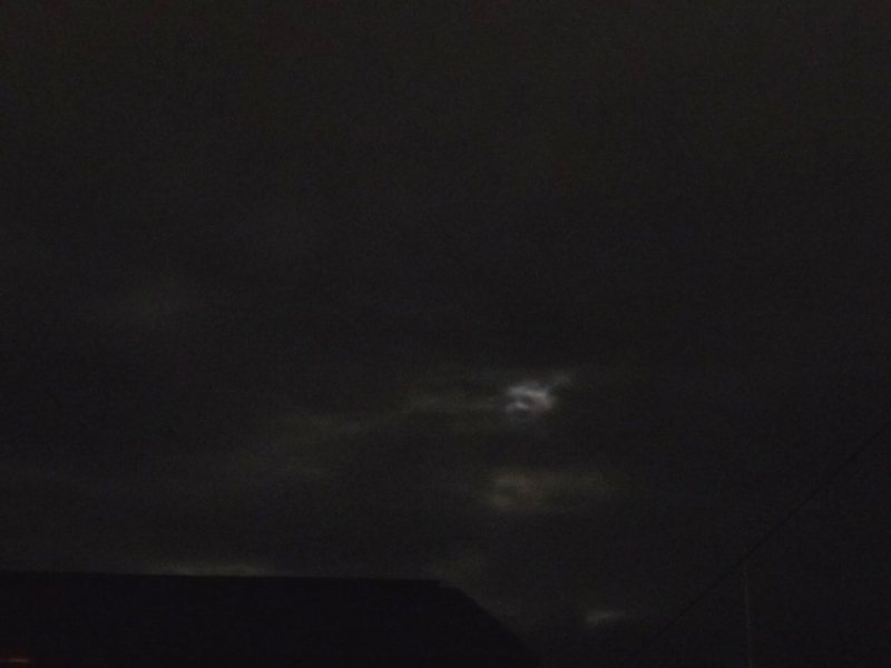 f:id:mooncats:20110715212651j:image f:id:mooncats:20110715212651j:image