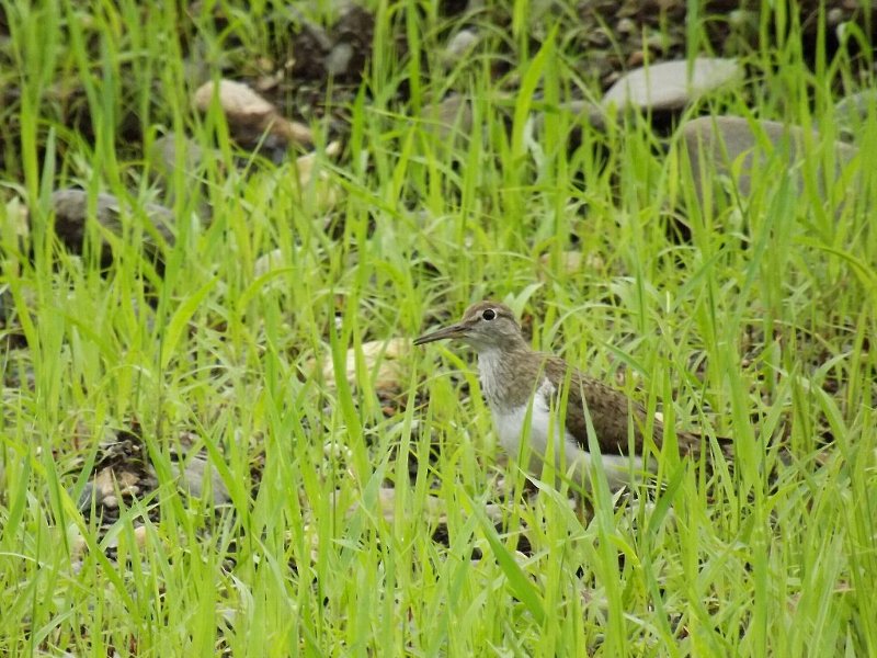 f:id:mooncats:20110716211135j:image f:id:mooncats:20110716211135j:image