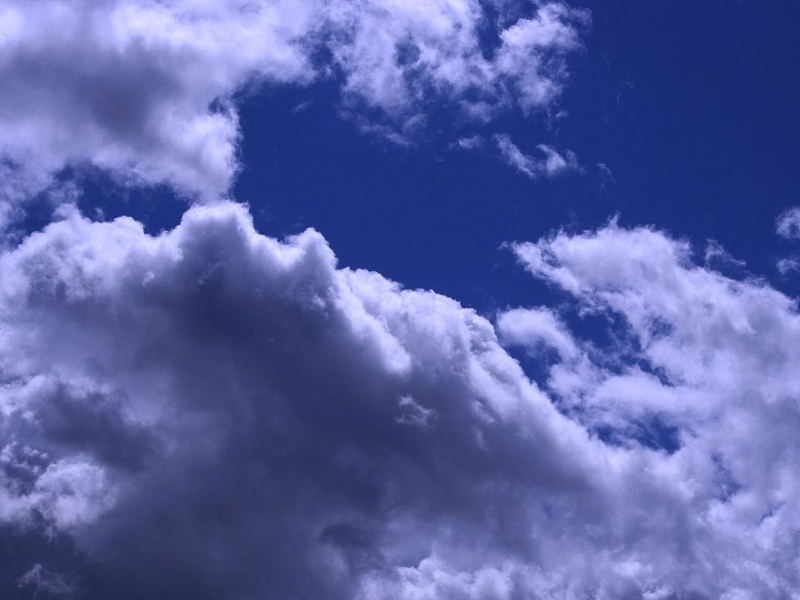 f:id:mooncats:20110813004752j:image f:id:mooncats:20110813004752j:image