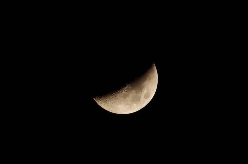 f:id:mooncats:20111201205450j:image f:id:mooncats:20111201205450j:image