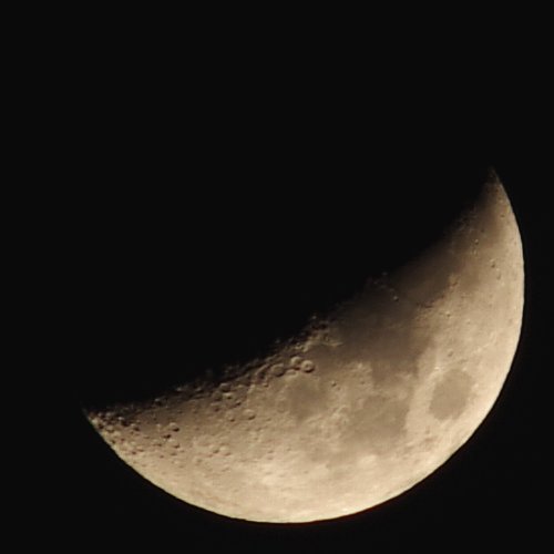 f:id:mooncats:20111201205523j:image f:id:mooncats:20111201205523j:image
