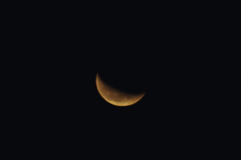 f:id:mooncats:20111220170717j:image f:id:mooncats:20111220170717j:image