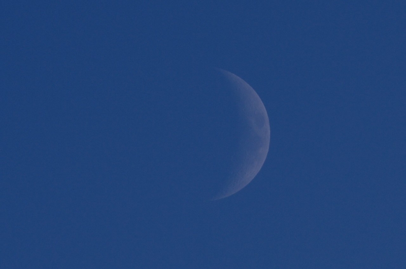 f:id:mooncats:20120822202732j:image f:id:mooncats:20120822202732j:image