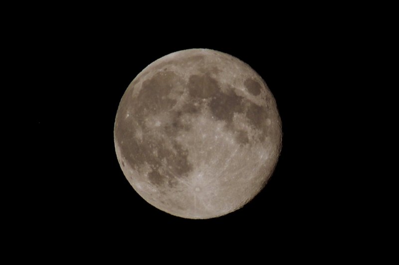 f:id:mooncats:20120901211144j:image f:id:mooncats:20120901211144j:image