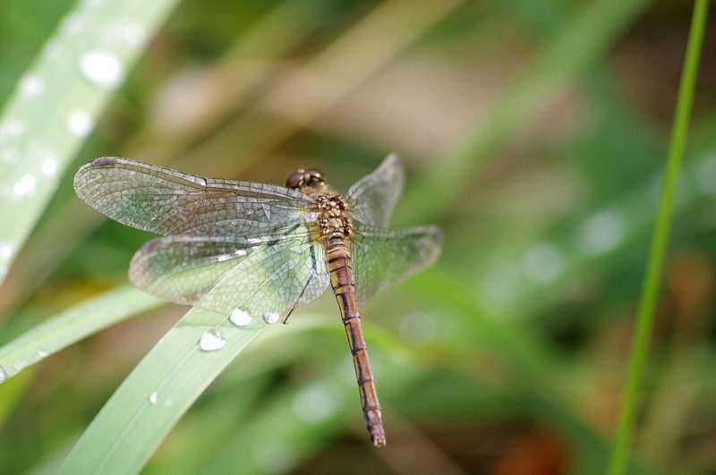 f:id:mooncats:20120929205947j:image f:id:mooncats:20120929205947j:image