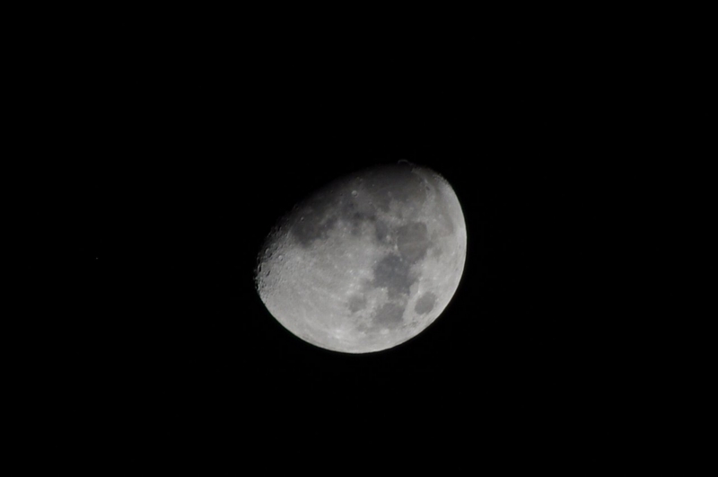 f:id:mooncats:20121226093541j:image f:id:mooncats:20121226093541j:image