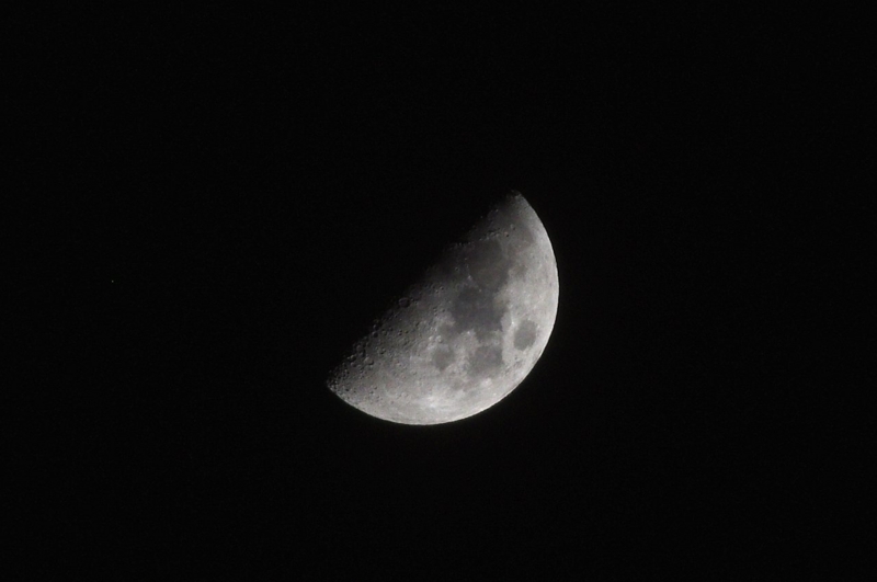 f:id:mooncats:20130119213528j:image f:id:mooncats:20130119213528j:image