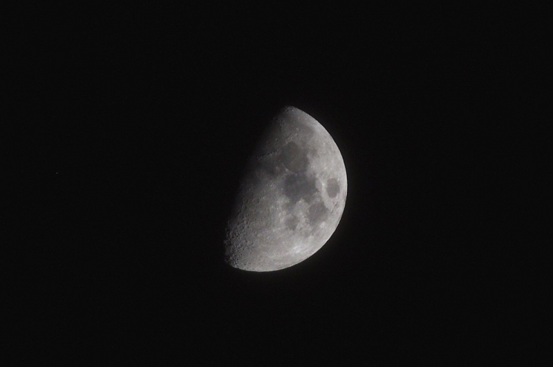 f:id:mooncats:20130120214050j:image f:id:mooncats:20130120214050j:image