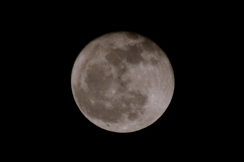 f:id:mooncats:20130128223552j:image f:id:mooncats:20130128223552j:image
