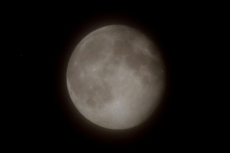 f:id:mooncats:20130724225721j:image f:id:mooncats:20130724225721j:image