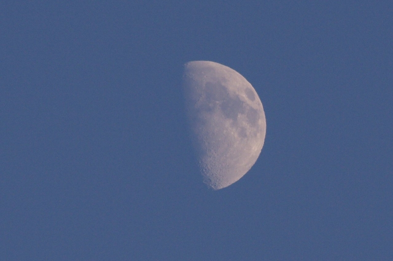 f:id:mooncats:20130816145804j:plain f:id:mooncats:20130816145804j:plain