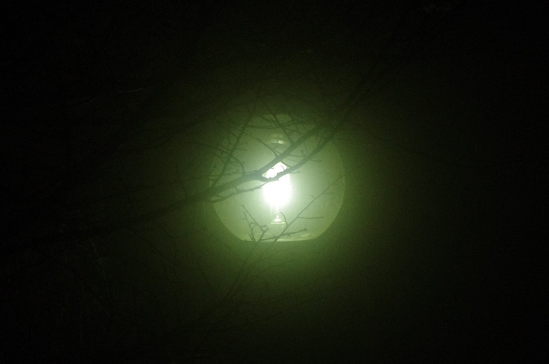 f:id:mooncats:20131110205624j:plain f:id:mooncats:20131110205624j:plain