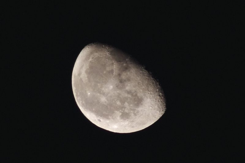 f:id:mooncats:20140122195908j:plain f:id:mooncats:20140122195908j:plain