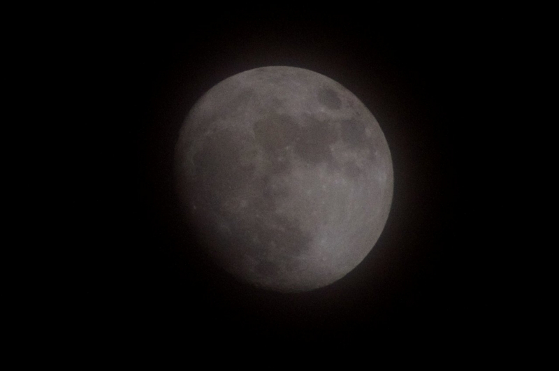 f:id:mooncats:20140213201129j:plain f:id:mooncats:20140213201129j:plain