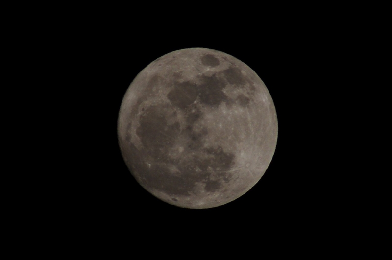f:id:mooncats:20140216192858j:plain f:id:mooncats:20140216192858j:plain