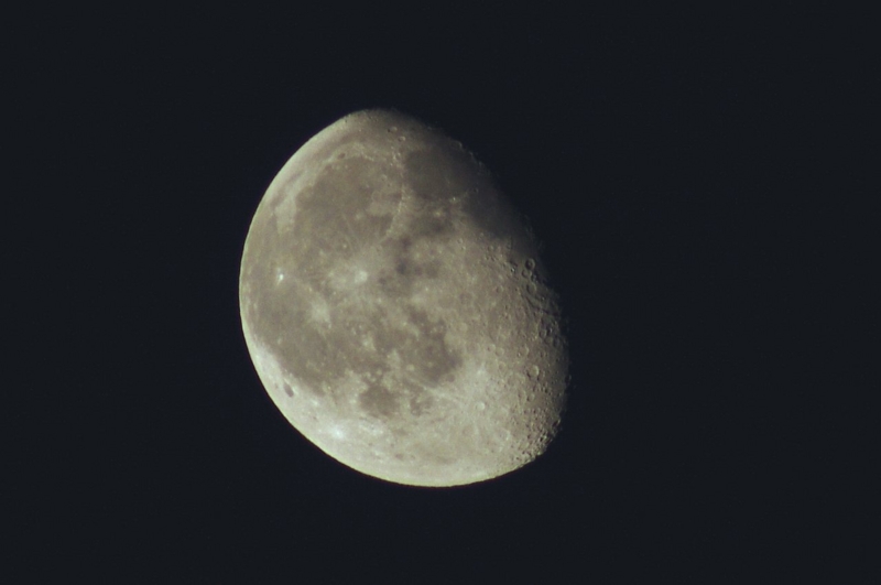 f:id:mooncats:20140420124001j:plain f:id:mooncats:20140420124001j:plain