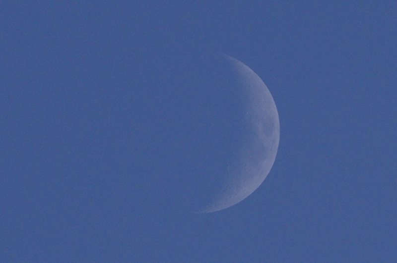 f:id:mooncats:20140603195937j:plain f:id:mooncats:20140603195937j:plain
