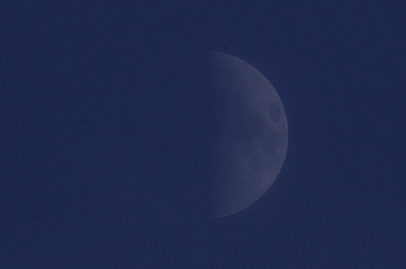 f:id:mooncats:20140606204755j:plain f:id:mooncats:20140606204755j:plain