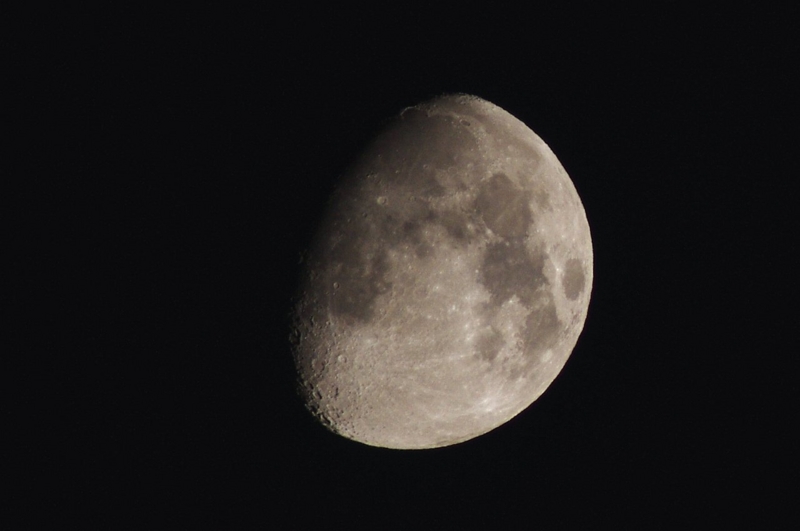 f:id:mooncats:20141005224237j:plain f:id:mooncats:20141005224237j:plain