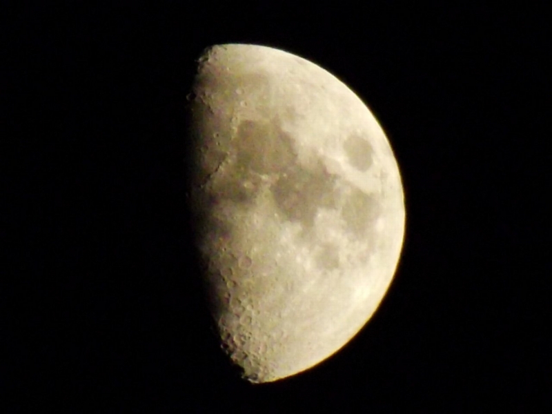 f:id:mooncats:20150429194832j:plain f:id:mooncats:20150429194832j:plain