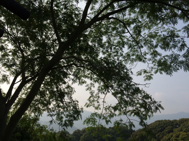 f:id:moonho:20140616003754j:plain f:id:moonho:20140616003754j:plain