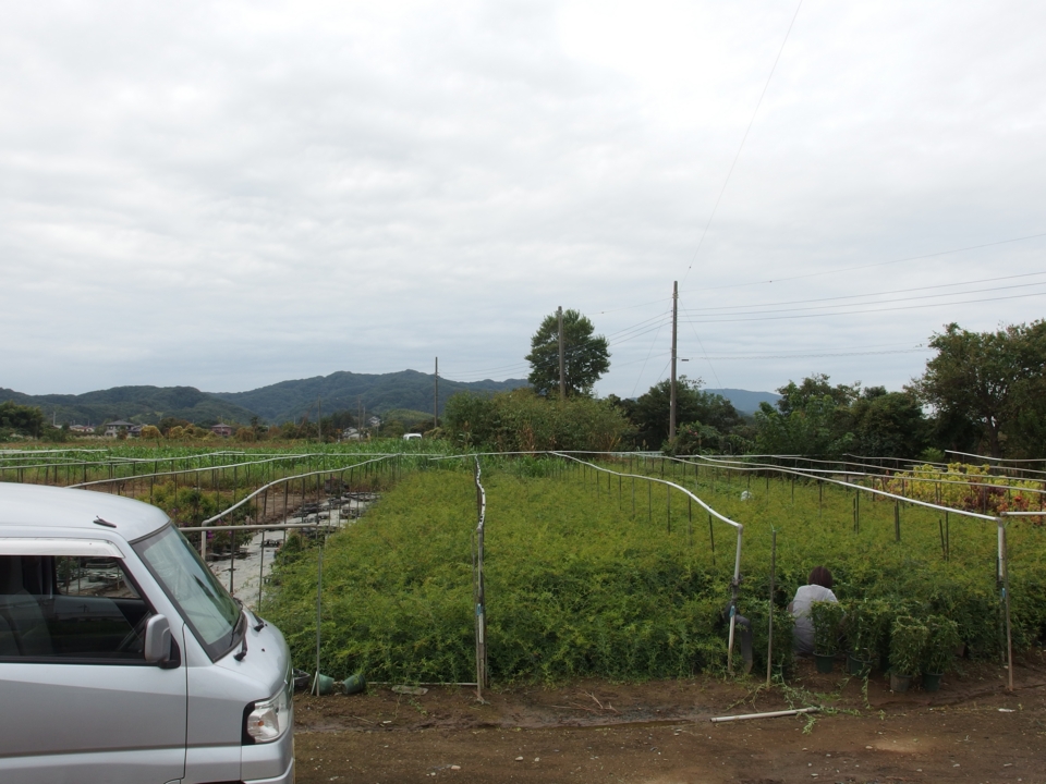 f:id:mooran:20141004114307j:plain f:id:mooran:20141004114307j:plain