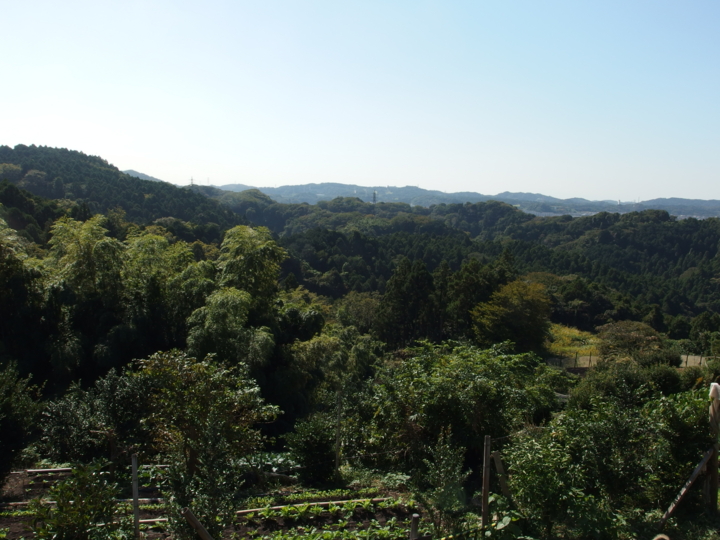 f:id:mooran:20141017110847j:plain f:id:mooran:20141017110847j:plain