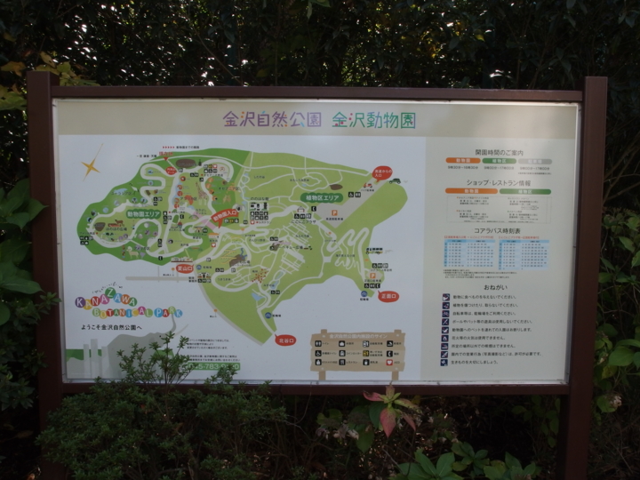 f:id:mooran:20141017115830j:plain f:id:mooran:20141017115830j:plain
