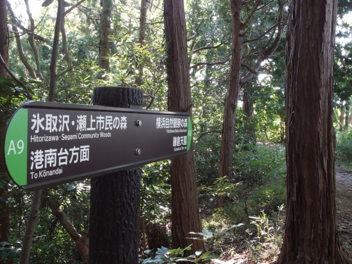 f:id:mooran:20141017122626j:plain f:id:mooran:20141017122626j:plain