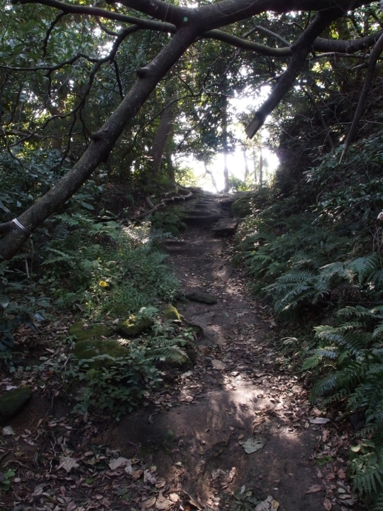 f:id:mooran:20141017131521j:plain f:id:mooran:20141017131521j:plain