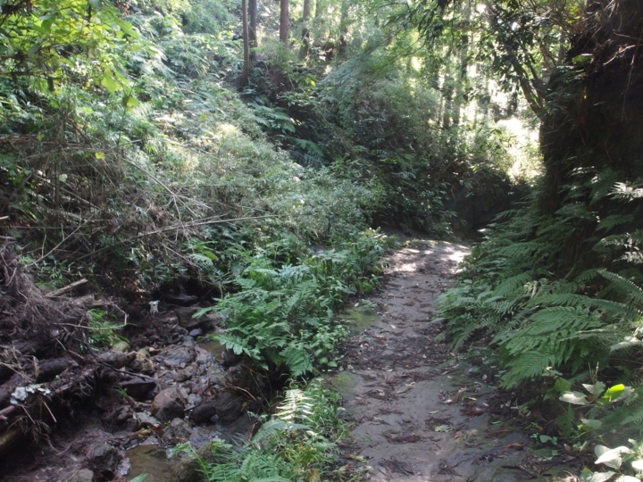 f:id:mooran:20141017132959j:plain f:id:mooran:20141017132959j:plain