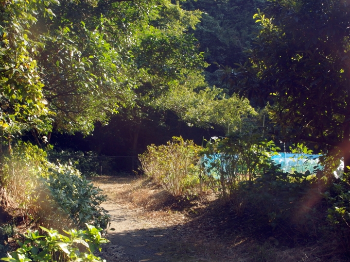 f:id:mooran:20141017133900j:plain f:id:mooran:20141017133900j:plain