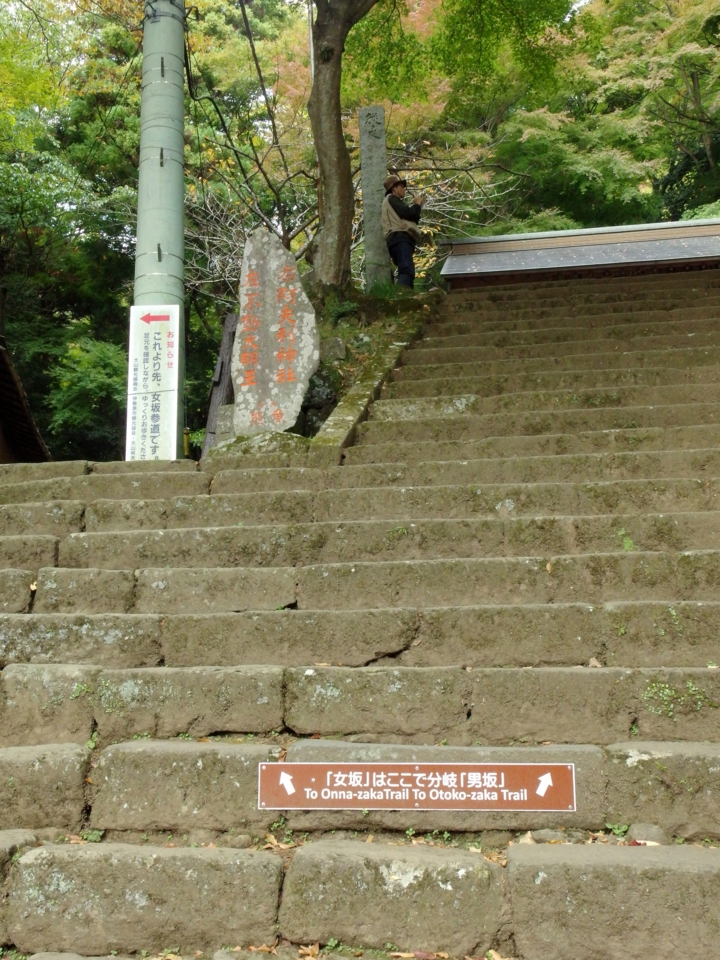 f:id:mooran:20141116103415j:plain f:id:mooran:20141116103415j:plain