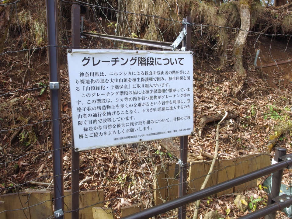 f:id:mooran:20141116123303j:plain f:id:mooran:20141116123303j:plain