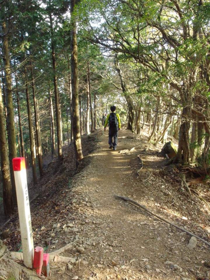 f:id:mooran:20141116141713j:plain f:id:mooran:20141116141713j:plain