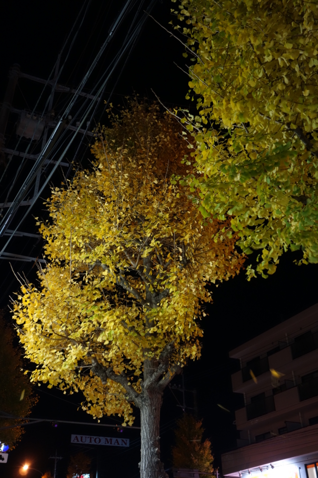 f:id:mooran:20141209230646j:image f:id:mooran:20141209230646j:image
