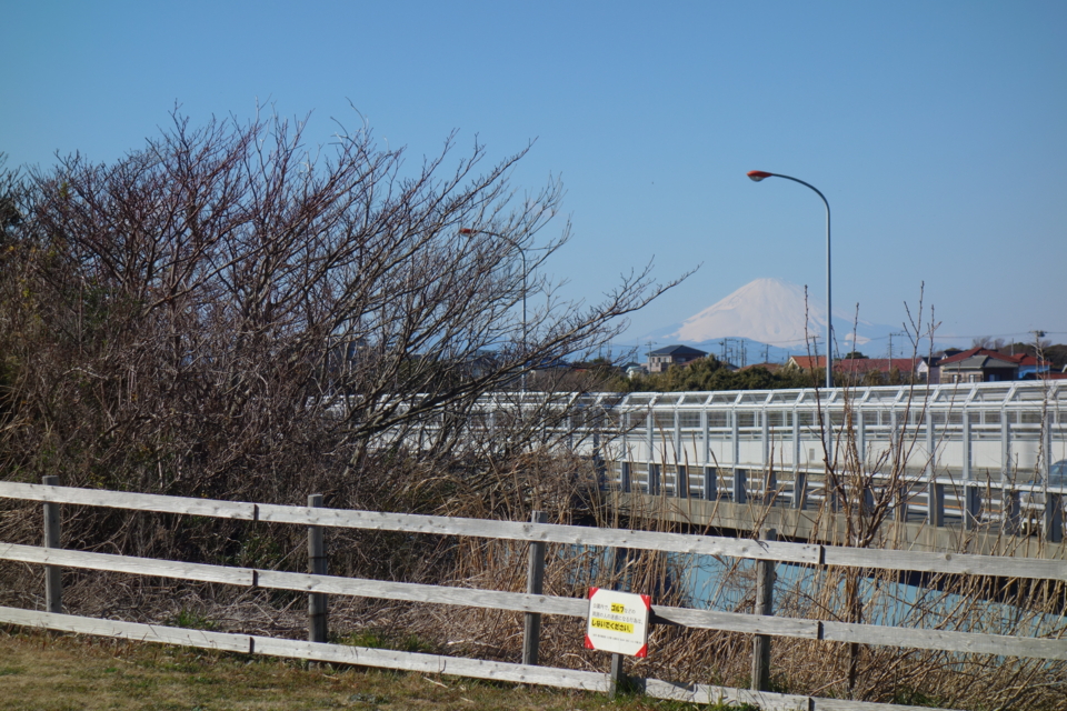 f:id:mooran:20150201125137j:plain f:id:mooran:20150201125137j:plain