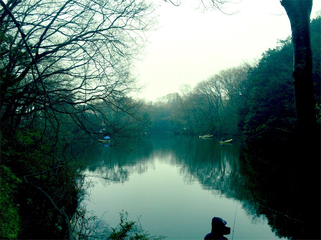 f:id:mori_nao:20160410102923j:image f:id:mori_nao:20160410102923j:image