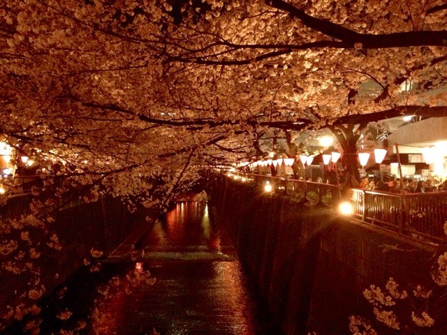 f:id:moriken_1113:20150401114633j:image:w480 f:id:moriken_1113:20150401114633j:image:w480