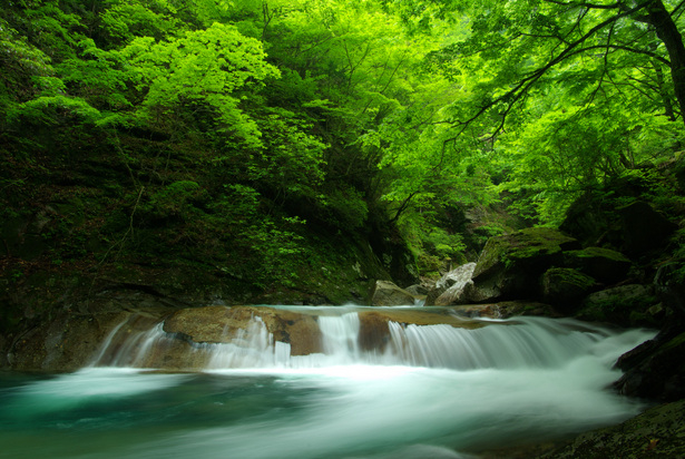 f:id:morimika:20120705141050j:plain