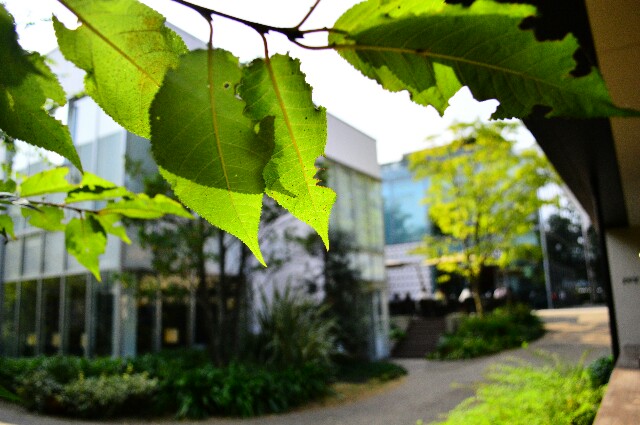 f:id:morning_park:20151025142636j:image f:id:morning_park:20151025142636j:image