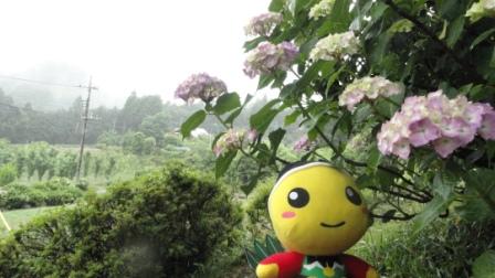f:id:moromaru:20130615101823j:image:w360 f:id:moromaru:20130615101823j:image:w360