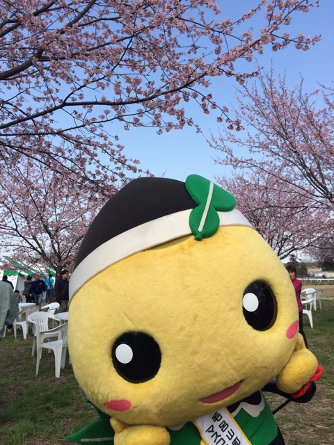 f:id:moromaru:20150323110403j:plain f:id:moromaru:20150323110403j:plain
