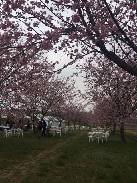 f:id:moromaru:20150323111232j:plain f:id:moromaru:20150323111232j:plain