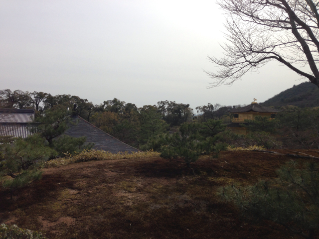 f:id:morookacube:20130322225954j:plain f:id:morookacube:20130322225954j:plain