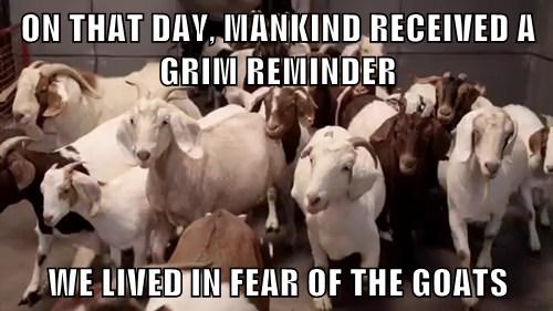 f:id:moroyowa:20131215052533j:plain f:id:moroyowa:20131215052533j:plain